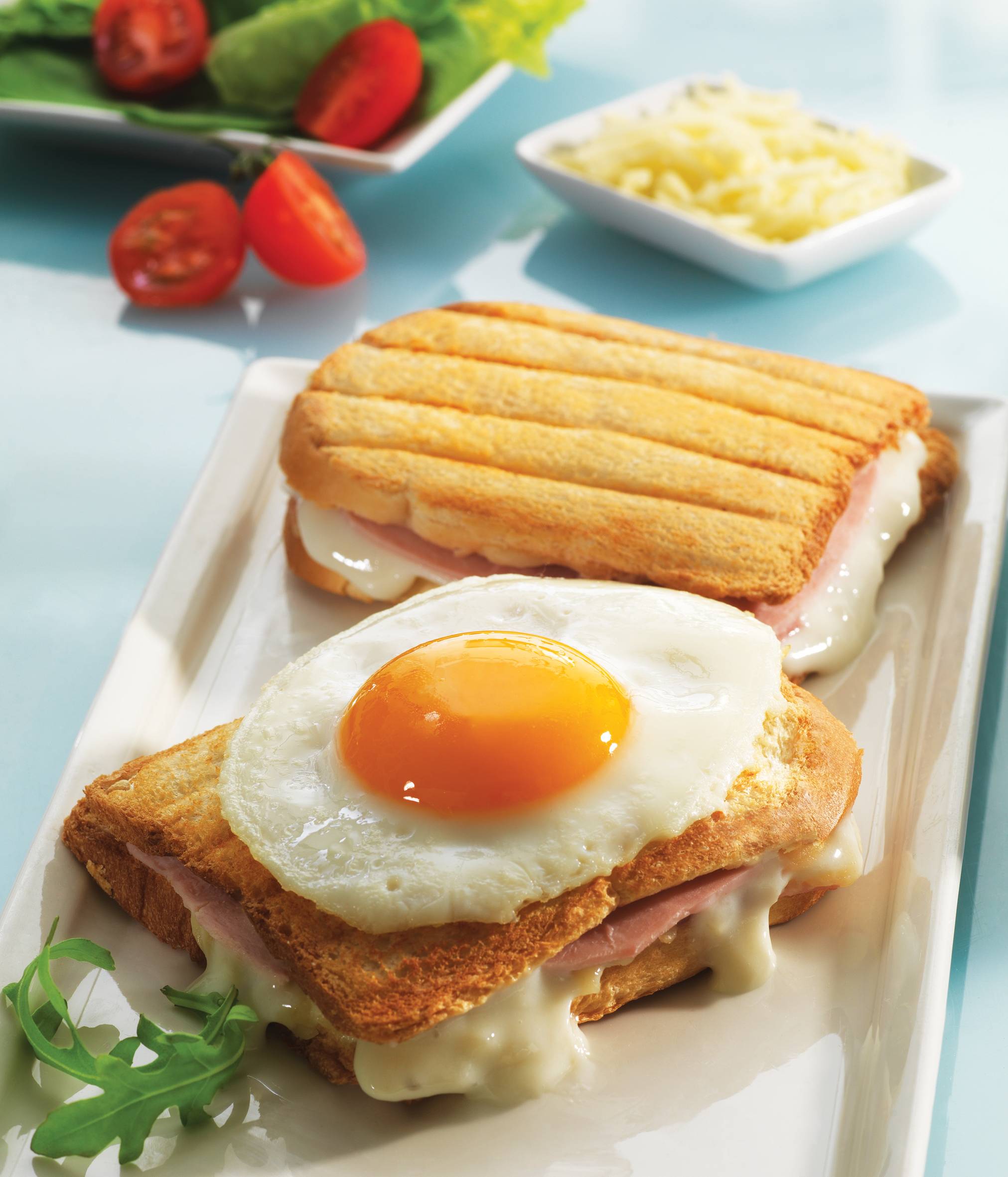 2 platos para sándwiches tostados Snack Coll. XA800112