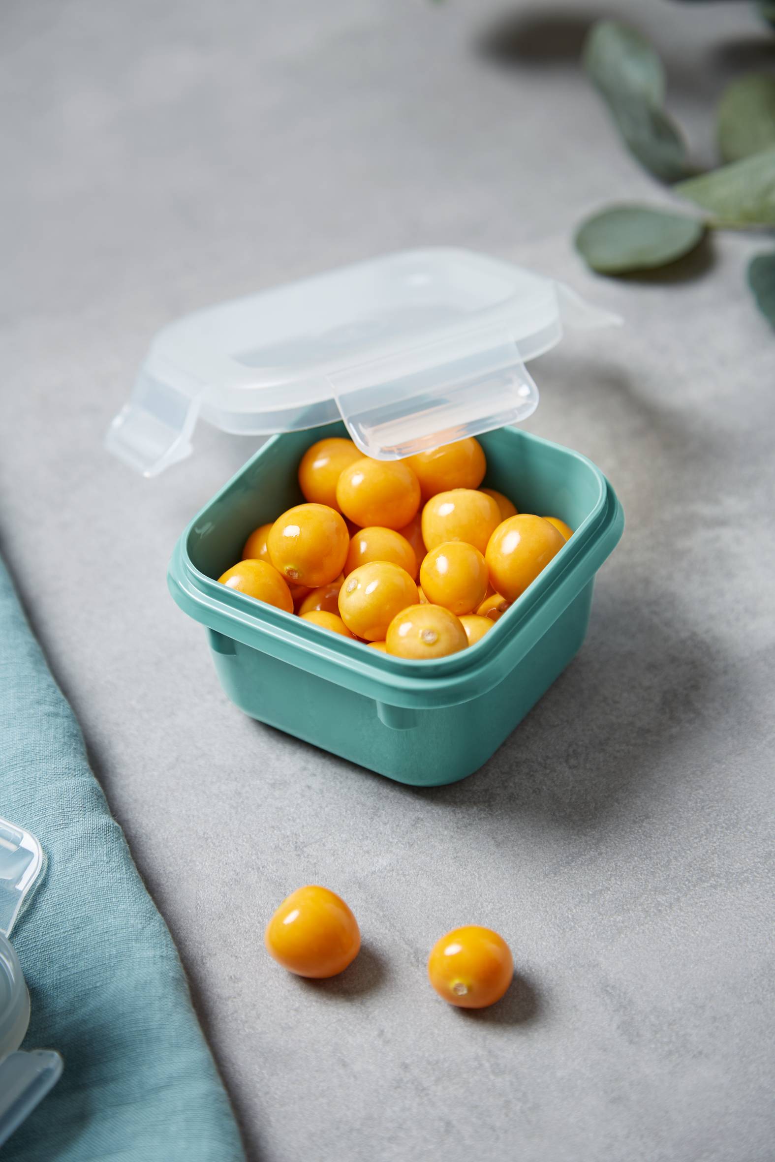 MasterSeal Fresh, Set de 4 Herméticos, Plástico, Conservación de Alimentos, 100 % Hermético, Verde