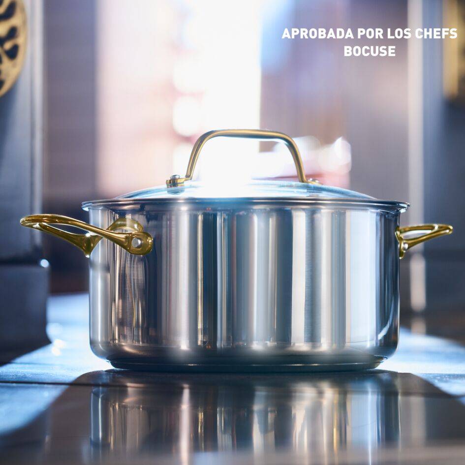 Tefal & Bocuse Olla de 24 cm, Inducción, Sin revestimiento, Acero, Mango fijo dorado