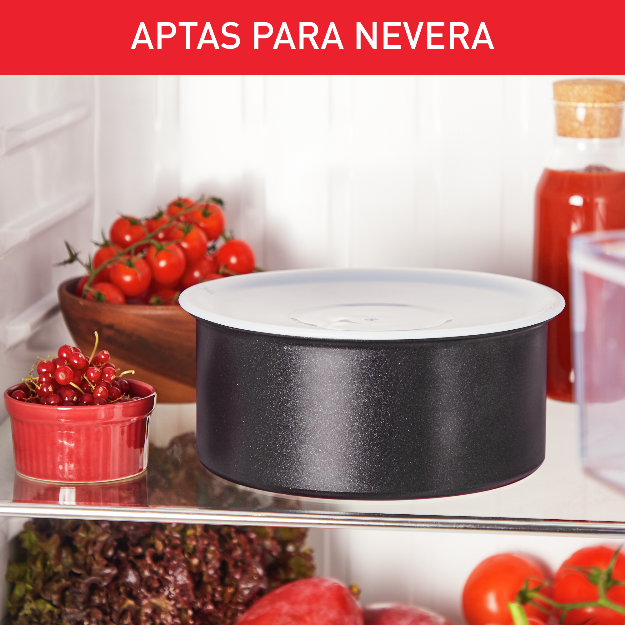 Ingenio, Set 3 Tapas de plástico, 16/18/20 cm, Cierre Hermético, Aptas para nevera y lavavajillas