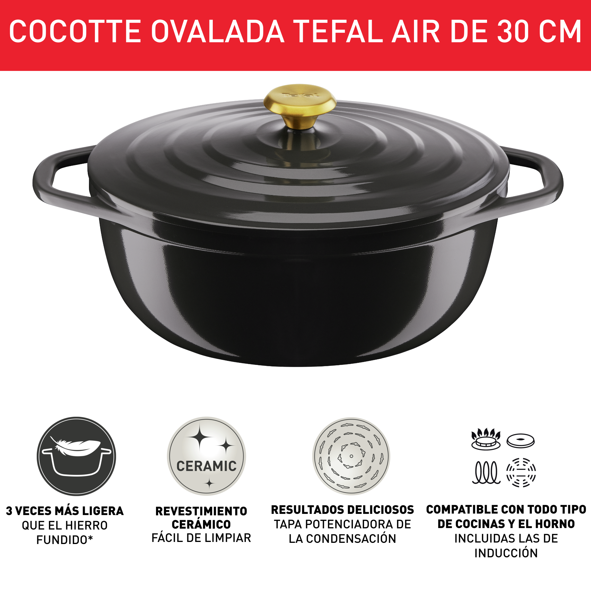 Air, Olla ovalada 30 X 23 cm, 5,7 L, aluminio fundido ligero