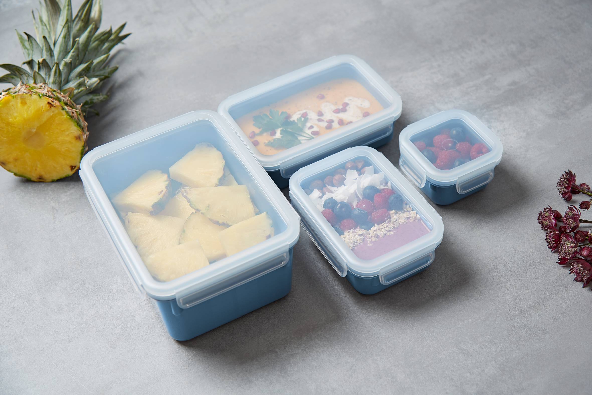 MasterSeal Fresh, Set de 4 Herméticos, Plástico, Conservación de Alimentos, 100 % Hermético, Azul