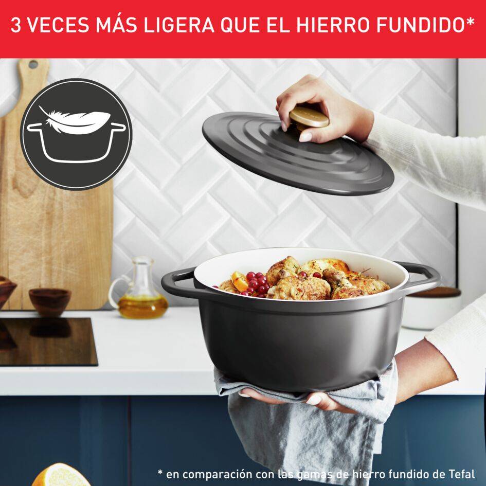 Air, Olla de 24 cm, 4,7 L, Aluminio Fundido Ligero