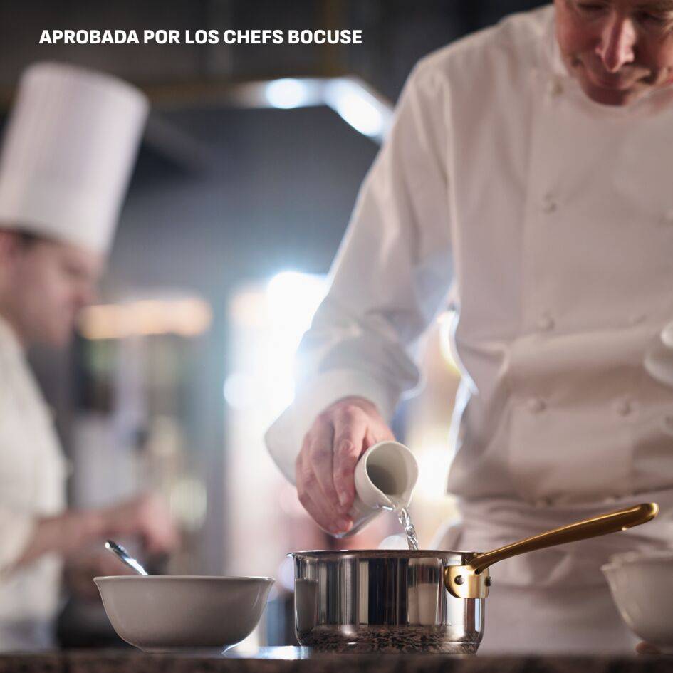 Tefal & Bocuse&nbsp;Cazo de 20 cm, Induction, Sin revestimiento, Acero, Mango fijo dorado