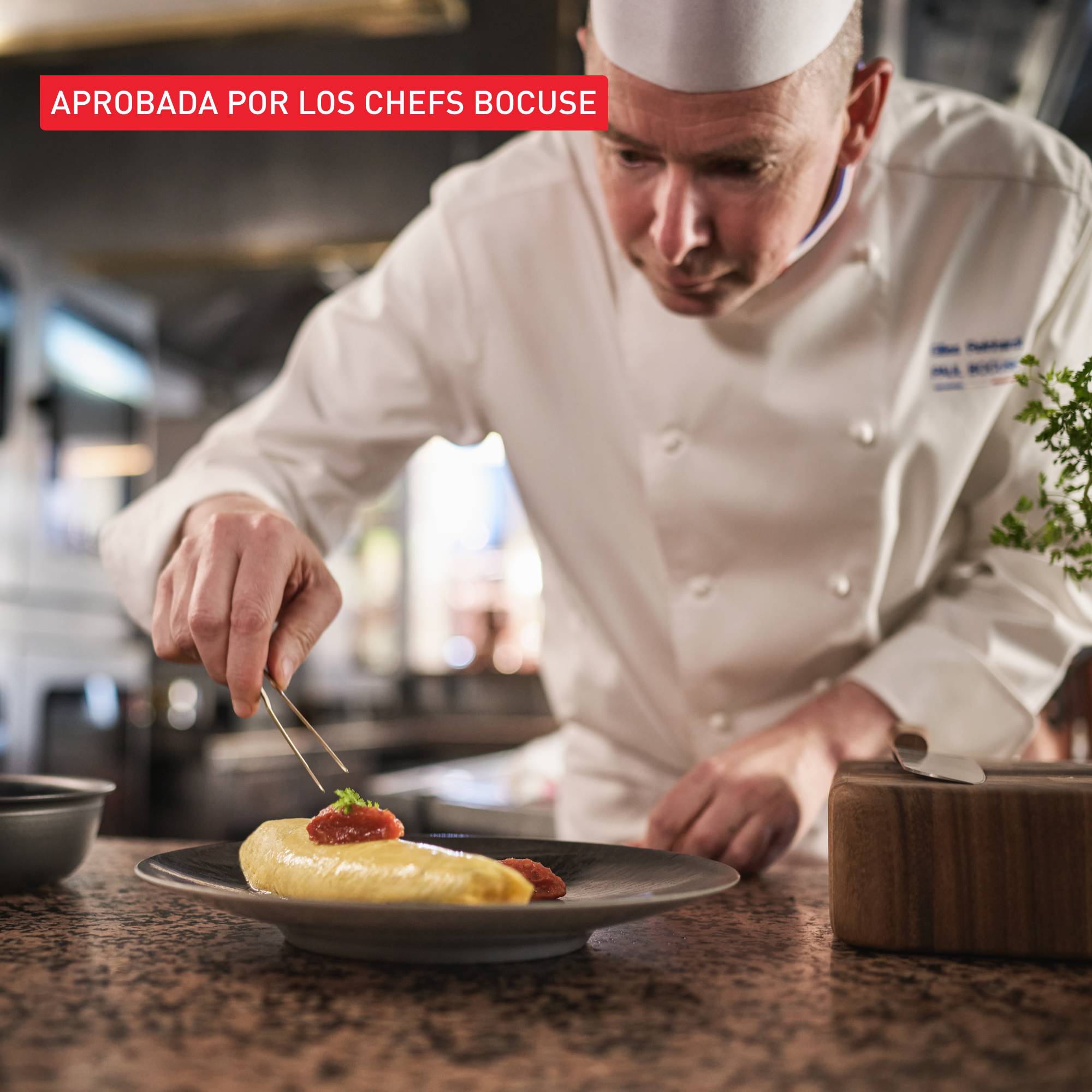 Tefal x Bocuse, Sartén de 30 cm, Aluminio, Revestimiento antiadherente, Apta para horno, Inducción, Mango remachado dorado