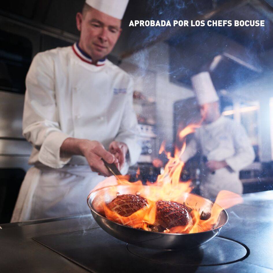 Tefal & Bocuse Sartén de 24 cm, Induction, Sin revestimiento, Acero, Mango fijo dorado