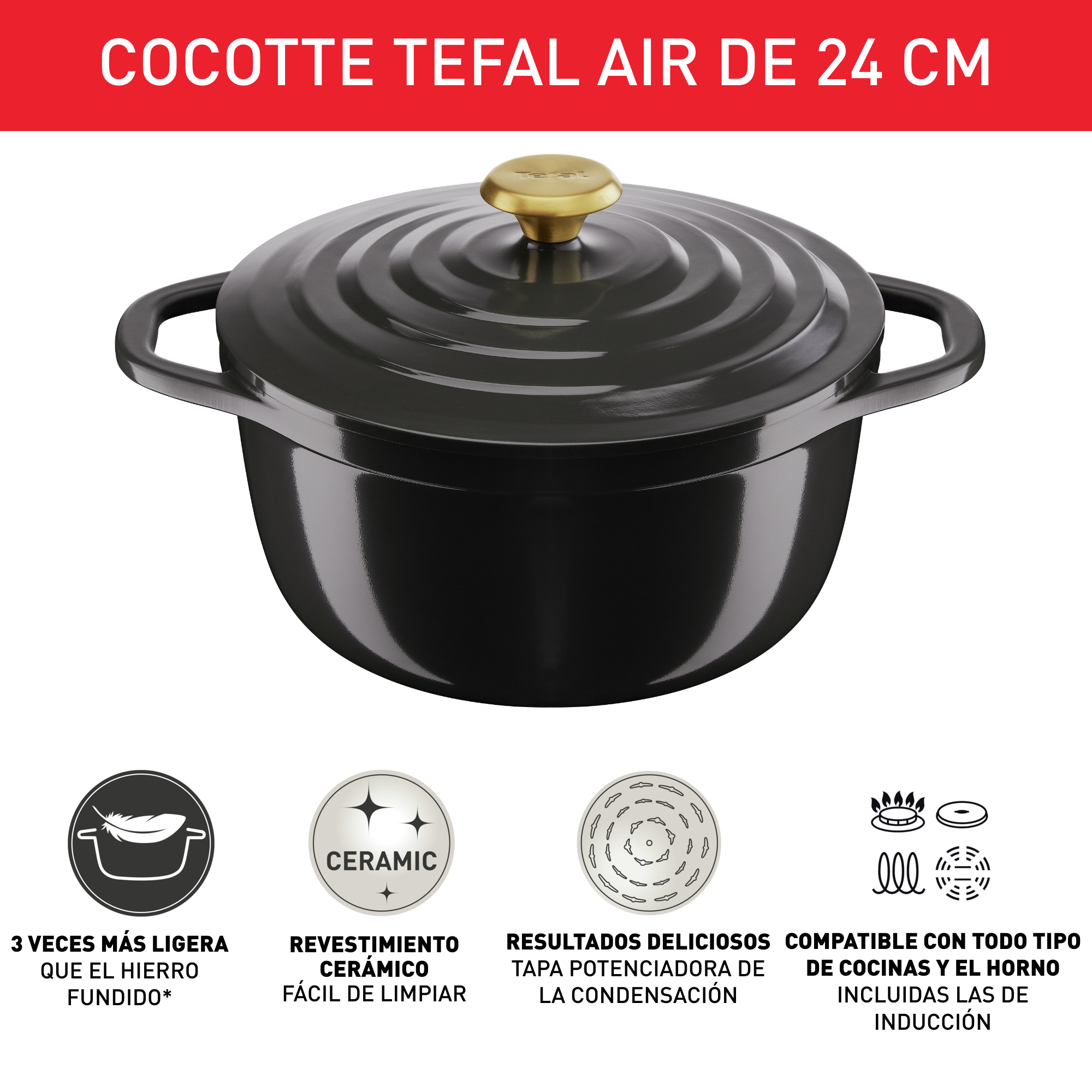 Air, Olla de 24 cm, 4,7 L, Aluminio Fundido Ligero