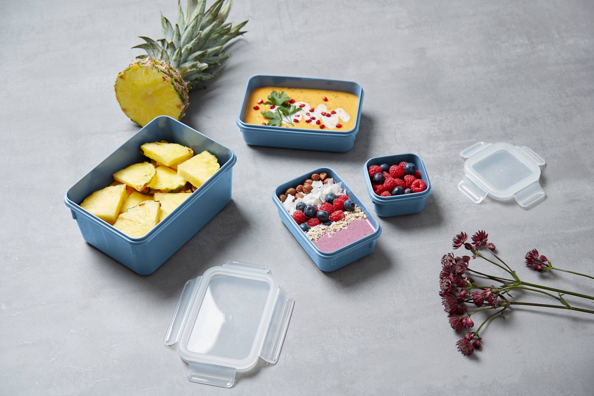 MasterSeal Fresh, Set de 4 Herméticos, Plástico, Conservación de Alimentos, 100 % Hermético, Azul