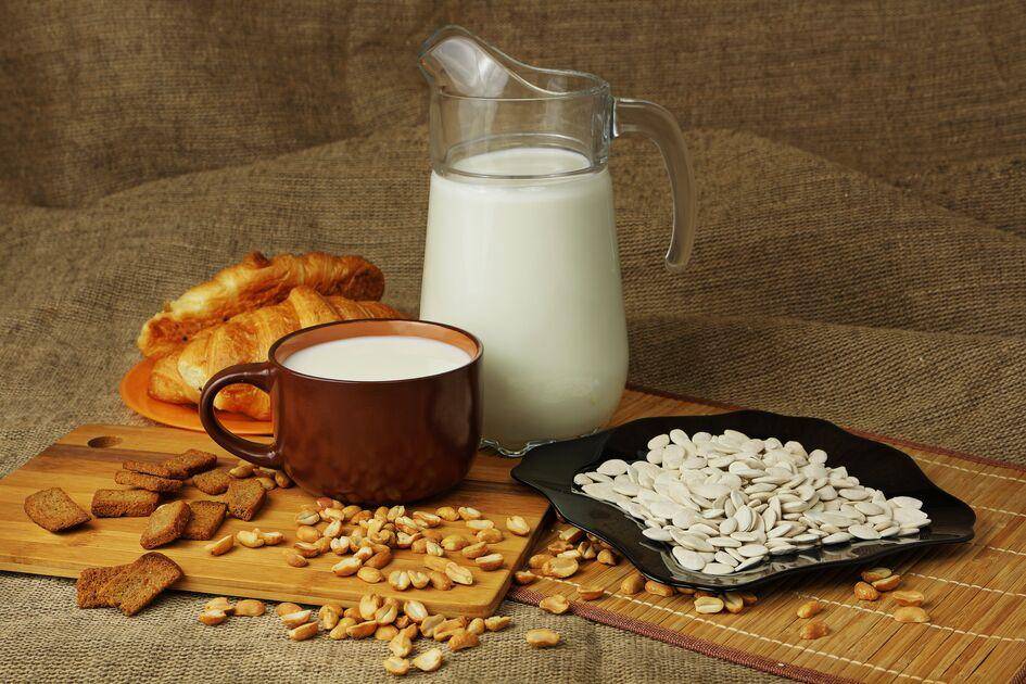 Leche de pipas de girasol - Receta Perfectmix + | Tefal