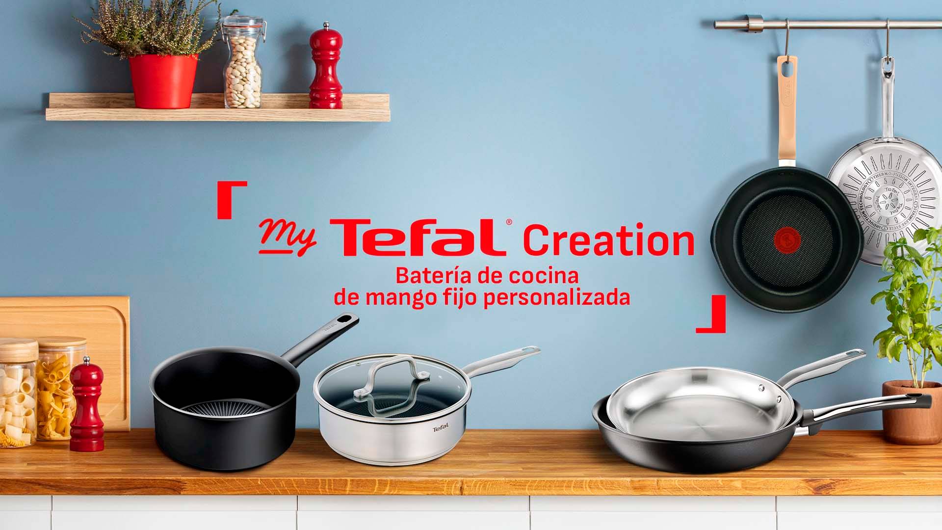 Bateria de cocina de mango fijo Tefal